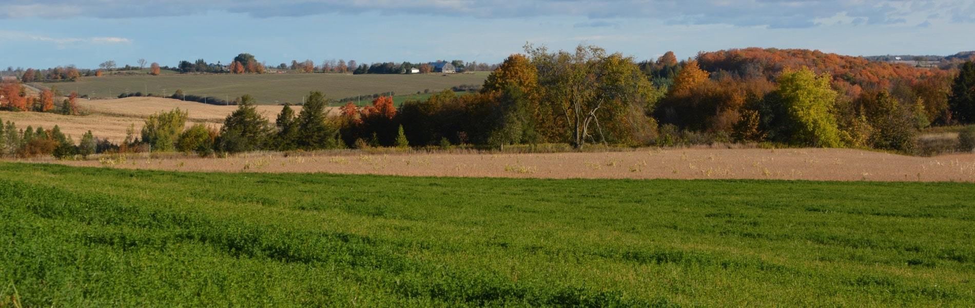 Oshawa Land for Sale Oshawa, ON Real Estate